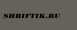 CargoExtended Italic 